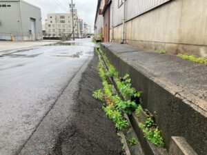 大府工場　2025年5月　美化活動