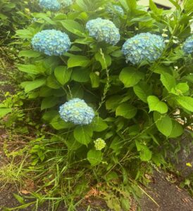 東立Blog　vol.530