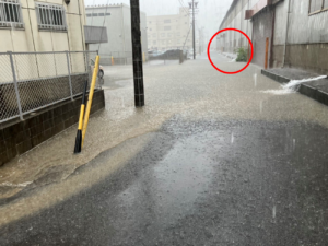 大府工場　2025年9月　美化活動