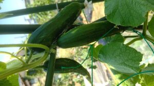 東立Blog　vol.548