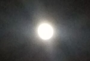 東立Blog　vol.555