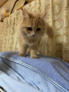 東立Blog　vol.574